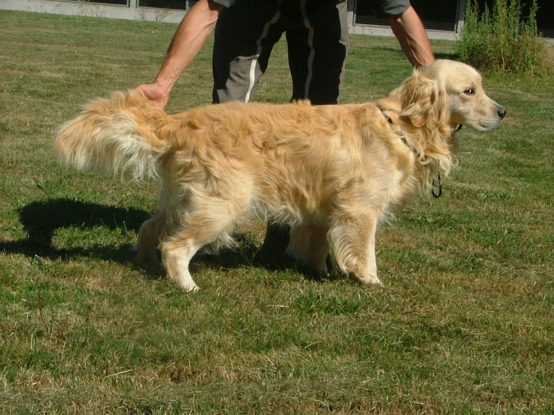 Elfi du Chateau de Plaisance
