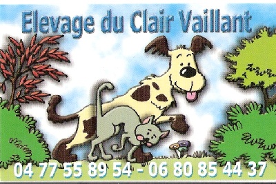 du clair vaillant